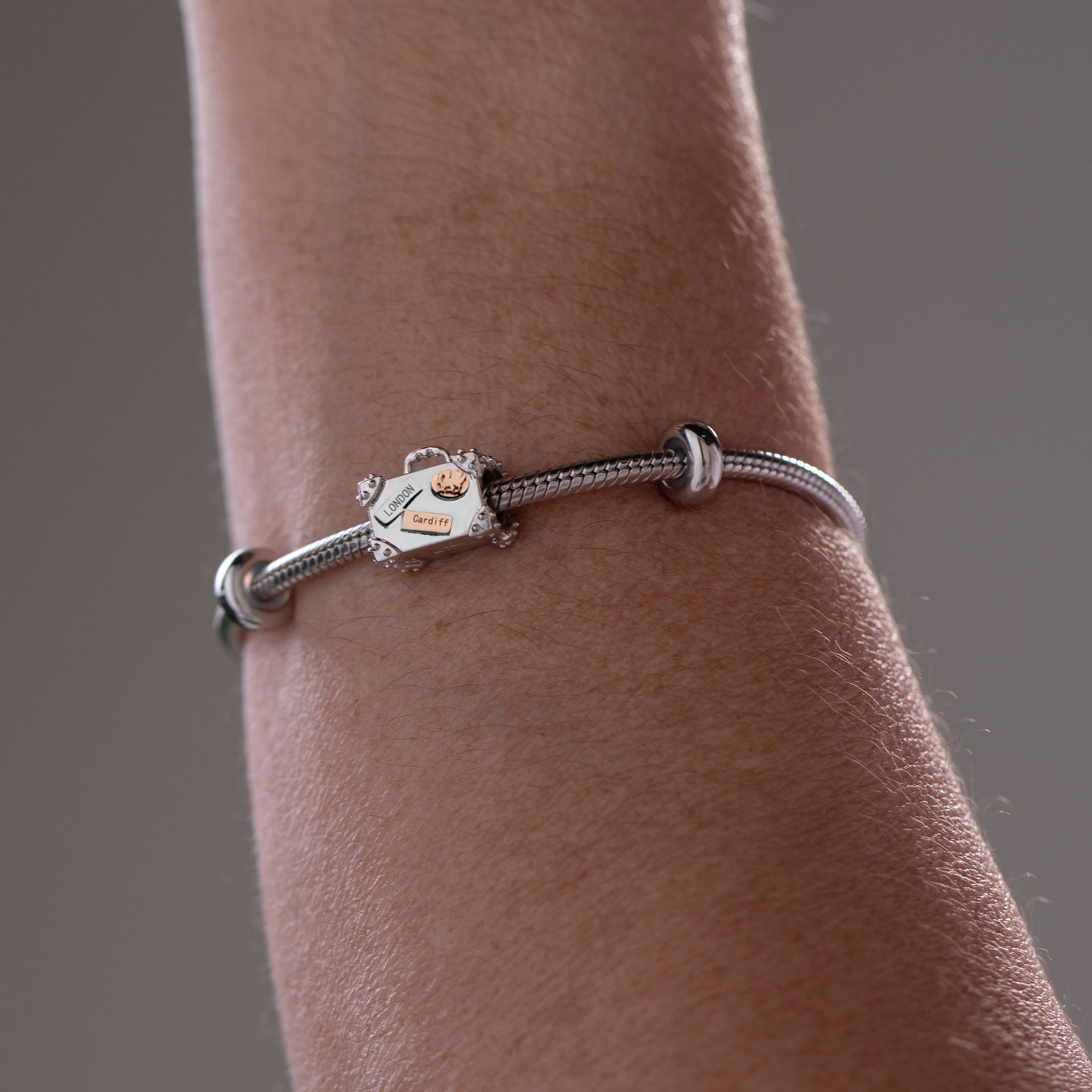 Suitcase Milestones® Bead Charm