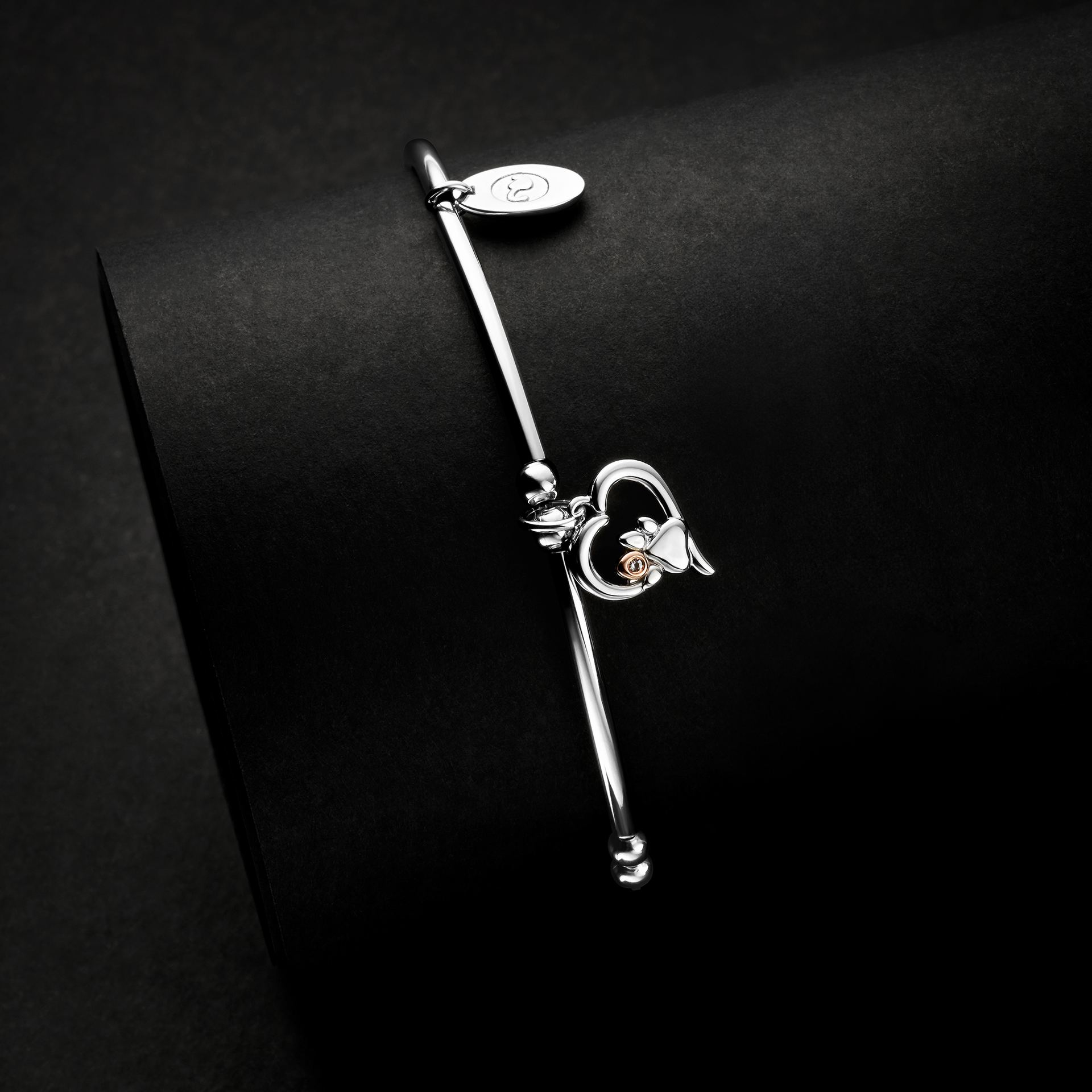 Paw Prints on My Heart Silver Affinity Noodle Bracelet