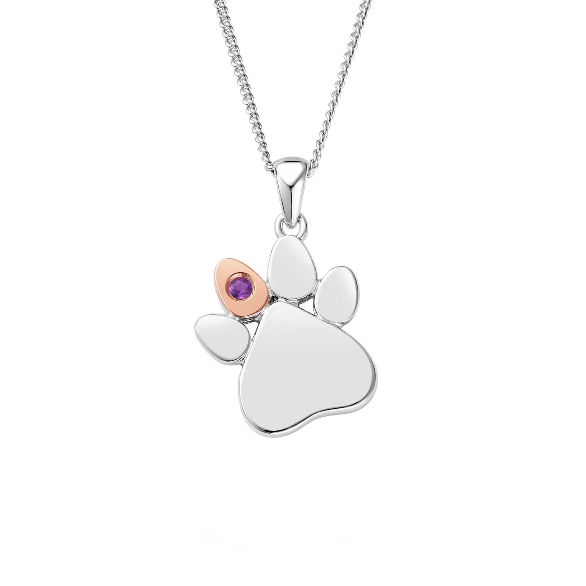Paw Prints Sterling Silver Birthstone Pendant for February with Amethyst