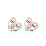 Heart of Wales Earrings